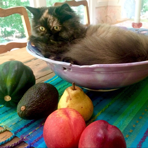 BOWL ME OVER WITH AN OFFER 😍🌺😍🌺😍🌺😍🌺😍!! - Picture 2 of 8